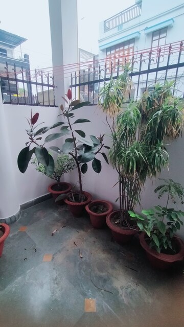 2 BHK Independent House – Map Location View at Gomti Nagar - for Rent