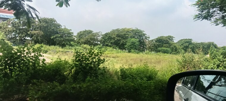 Garden, tdi-city-kundli  196 Sq.Yd. Plot In Kundli Sonipat 9200744