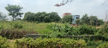 Plot Area in  Plot at TDI City Kundli, Kundli – for Sale
