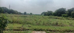  Plot For Sale in TDI City Kundli, Kundli