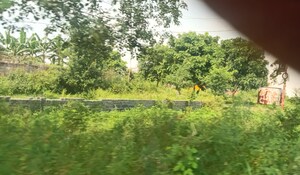  Plot For Sale in Ansal  Sushant City Sonipat, Sector 61