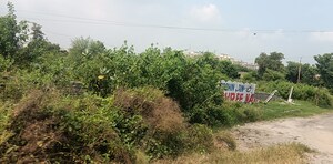 Plot Area in  Plot at Ansal  Sushant City Sonipat, Sector 61 – for Sale