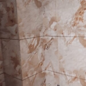 Bathroom in 3 BHK Apartment at Nipania – for Rent