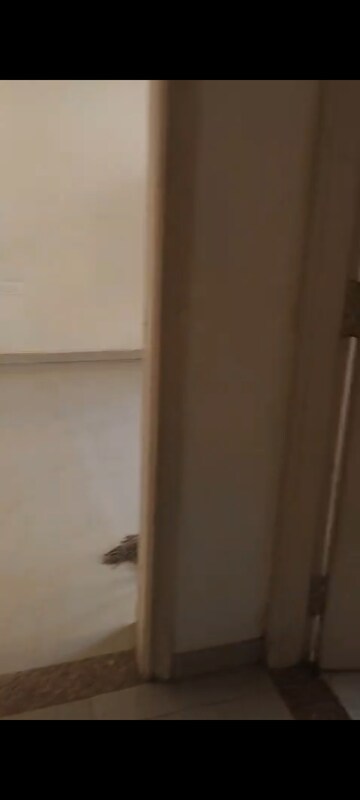 3 BHK Apartment For Rent in Omaxe New Heights, Sector 78