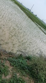 4020 Sq.Ft. Plot in Patna - Gaya Road