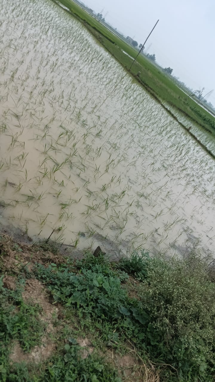 Plot For Sale in Patna - Gaya Road