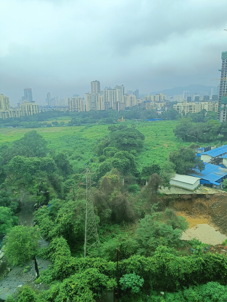 undefined, kalpataru-the-sunrise 1.5 Bedroom 560 Sq.Ft. Apartment In Kolshet Road Thane 9202108