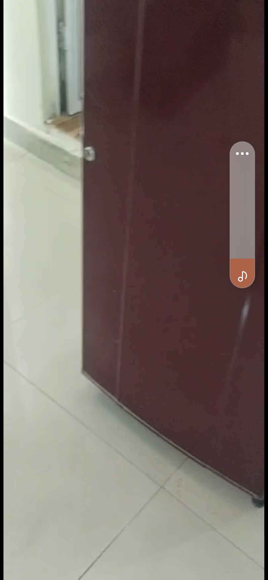 2 BHK Builder Floor For Rent in Lajpat Nagar II