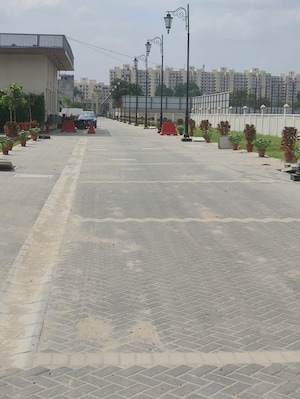  Plot – Exterior View View at Central Park Flower Valley Mikasa Plots, Sohna Sector 33 - for Sale