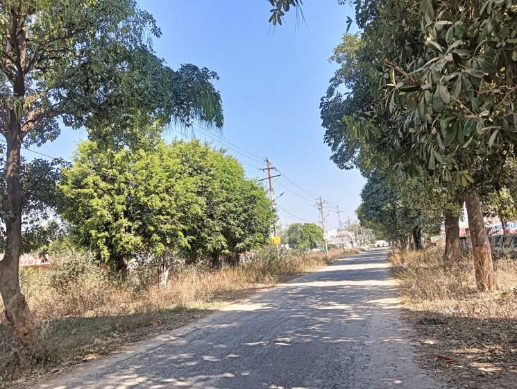 Garden, upsidc site c  160 Sq.Mt. Plot In Upsidc Site C Greater Noida 9202606