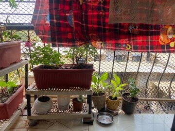 Balcony in 1 BHK Apartment at Pragati CHS, Vashi Sector 26 – for Sale