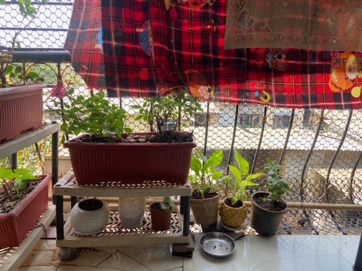 Balcony, pragati-chs 1 Bedroom 500 Sq.Ft. Apartment In Vashi Sector 26 Navi Mumbai 9202675