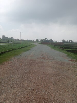 Plot Area in  Plot at Ramnagar – for Sale