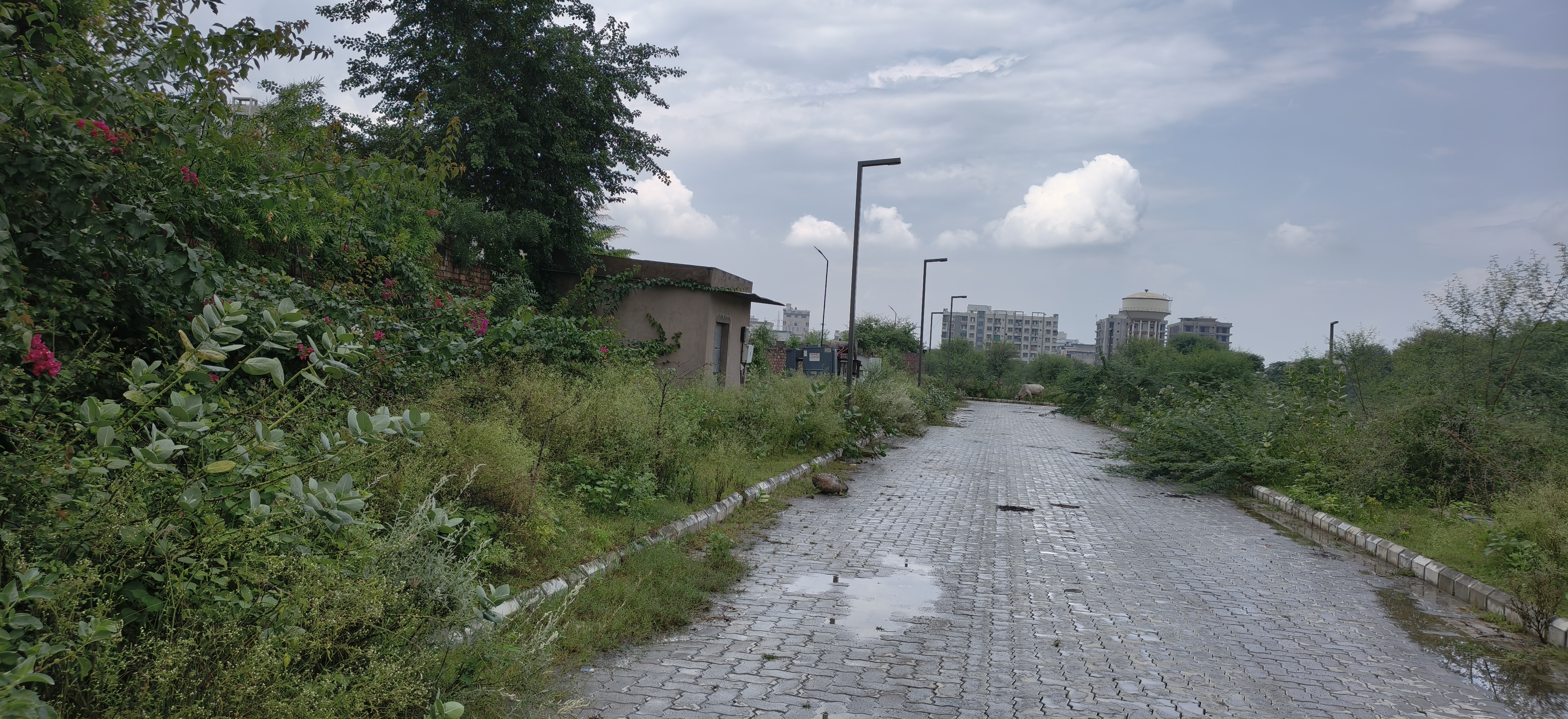 Plot For Sale in Ashadeep Green Valley Jag