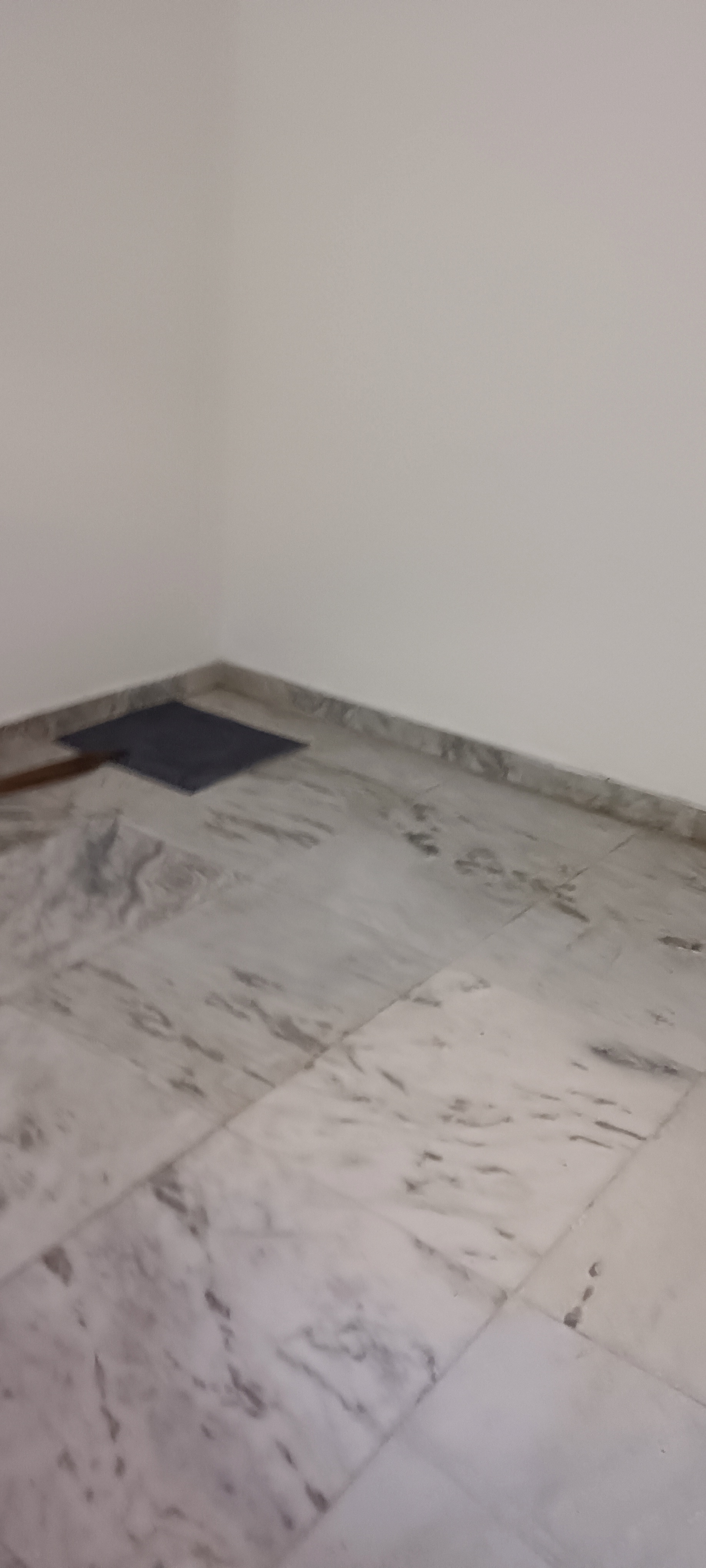 2 BHK Builder Floor For Rent in Sector 31