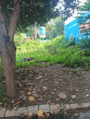 Plot Area in  Plot at Satguru Heights, Gulmohar Colony – for Sale