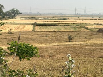  Land For Sale in Gaurichak