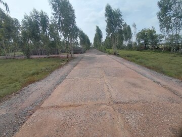 Plot Area in  Plot at Chaumuhan – for Sale
