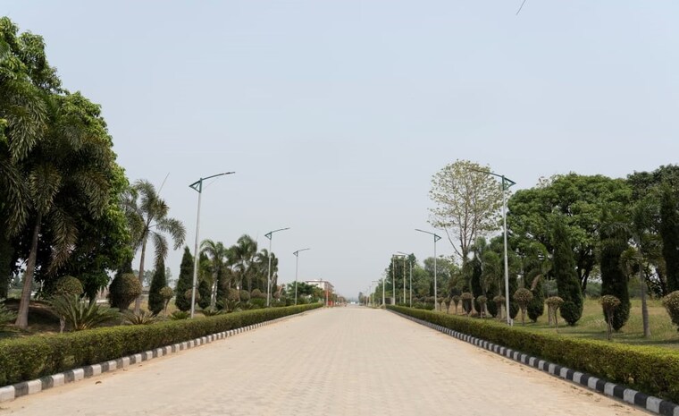undefined, sector 12 panchkula  3123 Sq.Ft. Plot In Sector 12 Panchkula Panchkula 9203570
