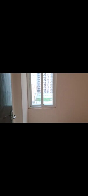 2 BHK Apartment For Rent in Amrapali Dream Valley, Tech Zone 4 Greater Noida