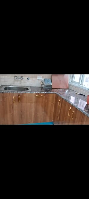 Kitchen in 2 BHK Apartment at Amrapali Dream Valley, Tech Zone 4 Greater Noida – for Rent