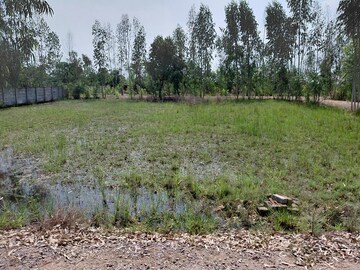 Plot Area in  Plot at Chaitanya Vihar – for Sale
