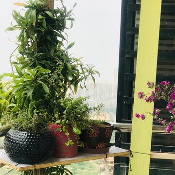 3.5 BHK Apartment – Exterior View View at Sector 79 - for Rent
