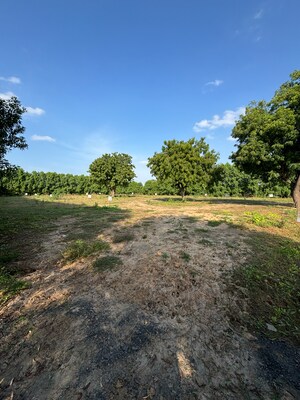 Plot Area in  Plot at Science City – for Sale