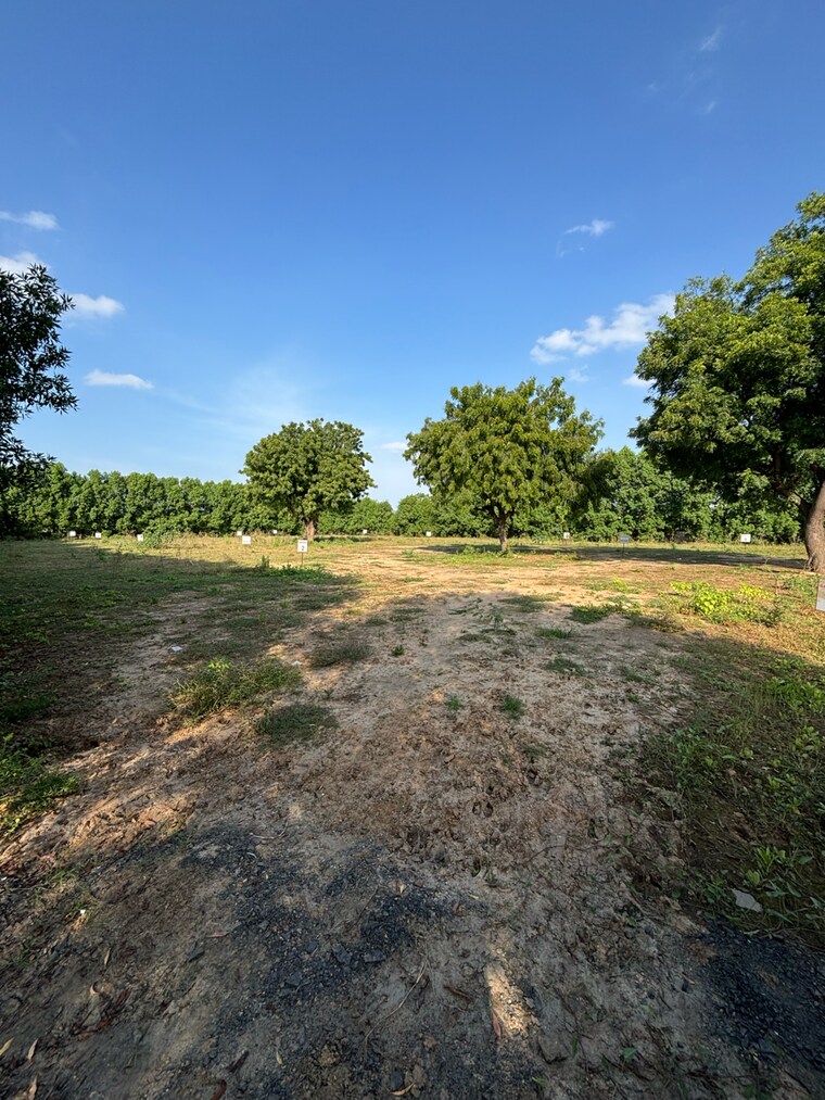 undefined, science city  650 Sq.Yd. Plot In Science City Ahmedabad 9204664