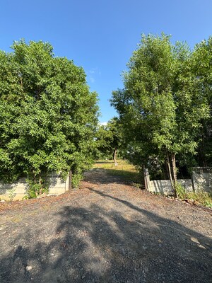  Plot For Sale in Science City