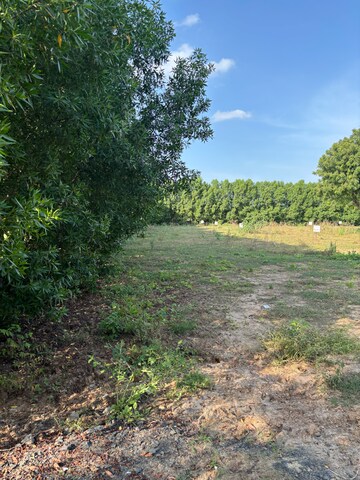 Plot Area in  Plot at Science City – for Sale