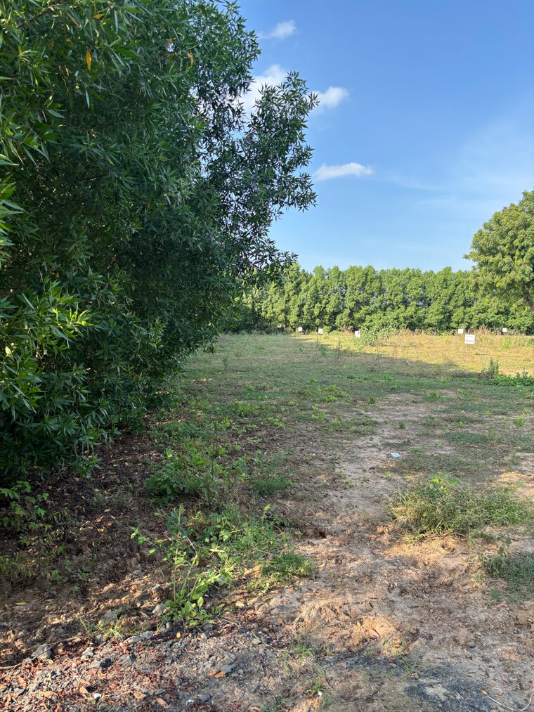 undefined, science city  650 Sq.Yd. Plot In Science City Ahmedabad 9204664