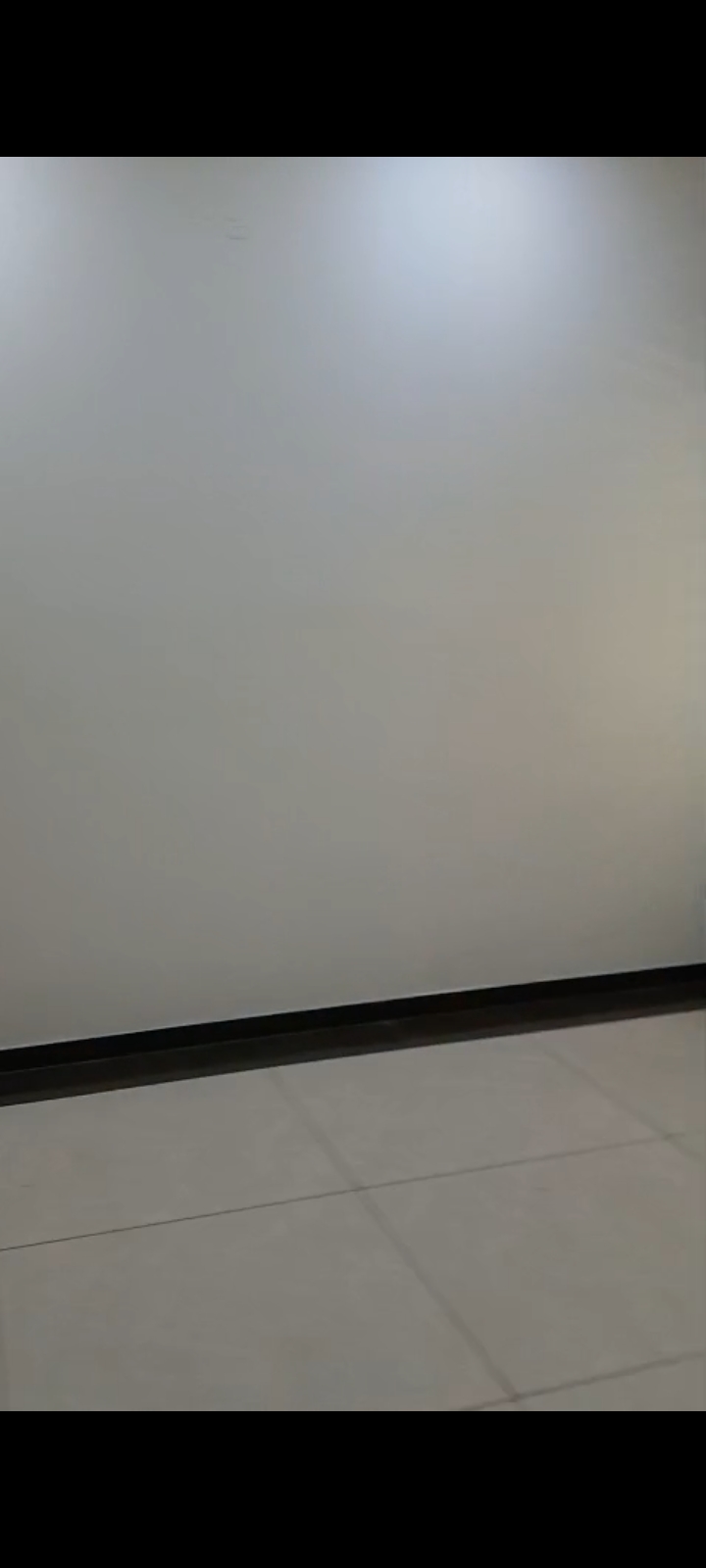 3 BHK Apartment For Rent in Bollineni Bion