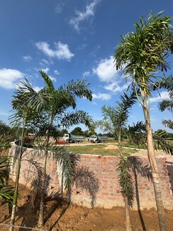 Plot For Sale in Science City
