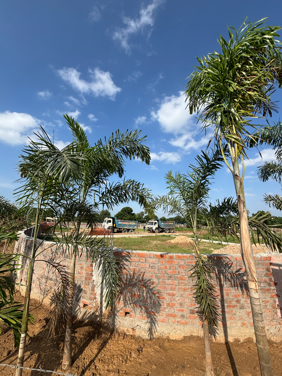 Plot For Sale in Science City