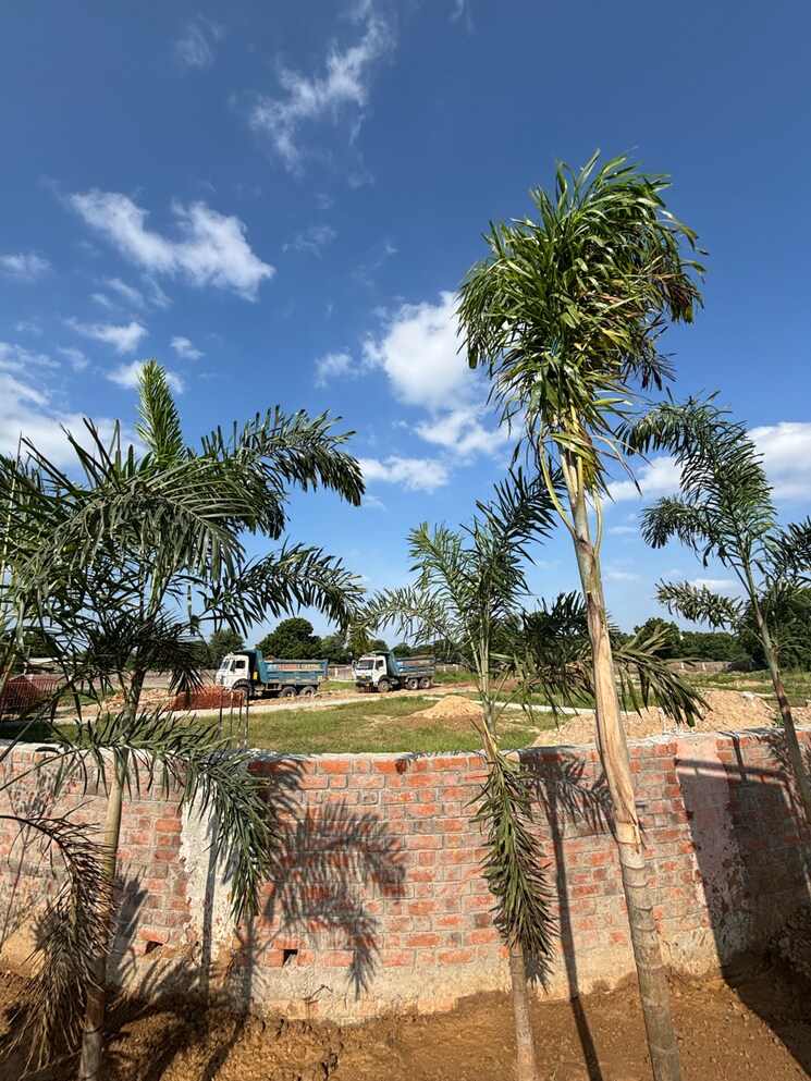 Garden, science city  1061 Sq.Yd. Plot In Science City Ahmedabad 9205500