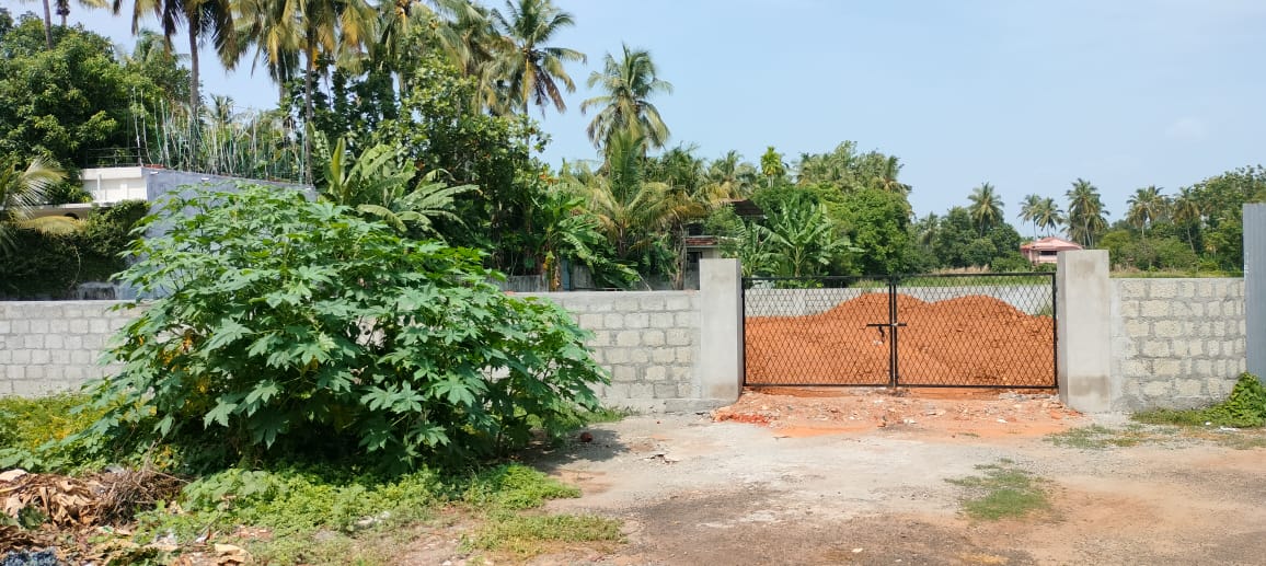 Plot For Sale in Avenue Road