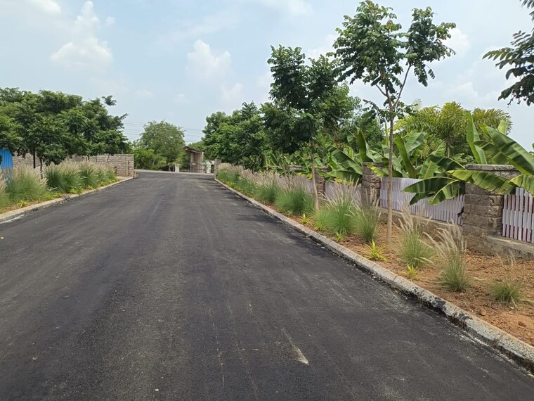 Garden, shadnagar  145 Sq.Yd. Plot In Shadnagar Hyderabad 9205793