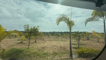  Plot For Sale in Shamirpet