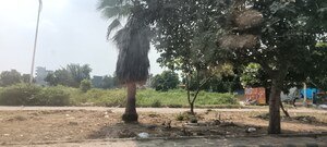 Plot Area in  Plot at TDI City Kundli, Kundli – for Sale