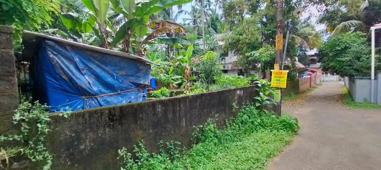 Garden, kolazhy  3702 Sq.Ft. Plot In Kolazhy Thrissur 9205969