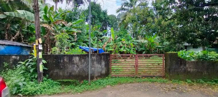 Garden, kolazhy  3702 Sq.Ft. Plot In Kolazhy Thrissur 9205969