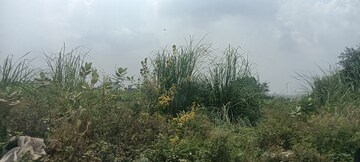 Plot For Sale in TDI City Kundli, Kundli