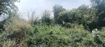 Plot Area in  Plot at TDI City Kundli, Kundli – for Sale