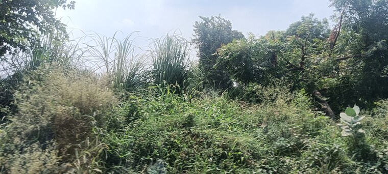 undefined, tdi-city-kundli  350 Sq.Yd. Plot In Kundli Sonipat 9206004