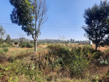  Plot For Sale in Devanahalli