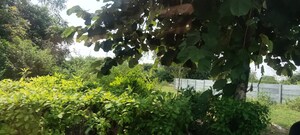  Plot – Garden View at TDI City Kundli, Kundli - for Sale