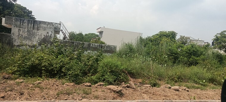 undefined, tdi-city-kundli  276 Sq.Yd. Plot In Kundli Sonipat 9206369