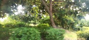  Plot – Garden View at TDI City Kundli, Kundli - for Sale