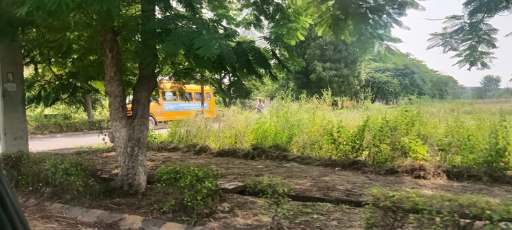 Garden, tdi-city-kundli  310 Sq.Yd. Plot In Kundli Sonipat 9206436